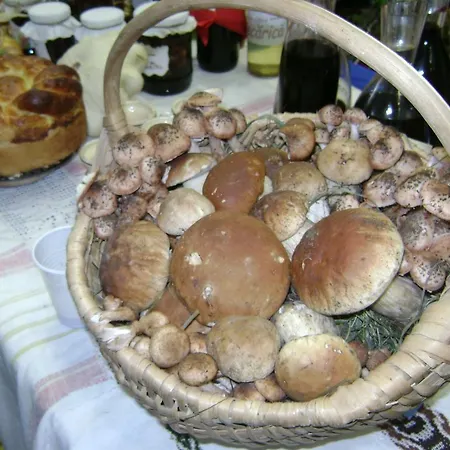 Casa vacanze Casa Bunicii Din Bucovina