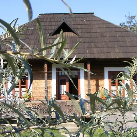 Casa Bunicii Din Bucovina